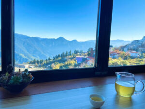 胸懷廣博｜心念寰宇